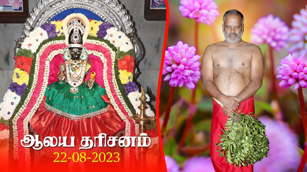 மருவத்தூர் மண்ணுல மகிமையுள்ள இடத்துல | ஆலய தரிசனம் 22-08-2023 | Melmaruvathur Siddhar Peetam