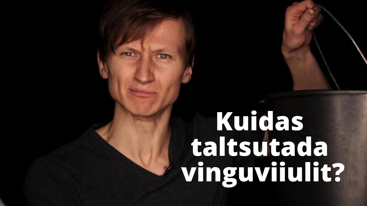 Kuidas taltsutada vinguviiulit?