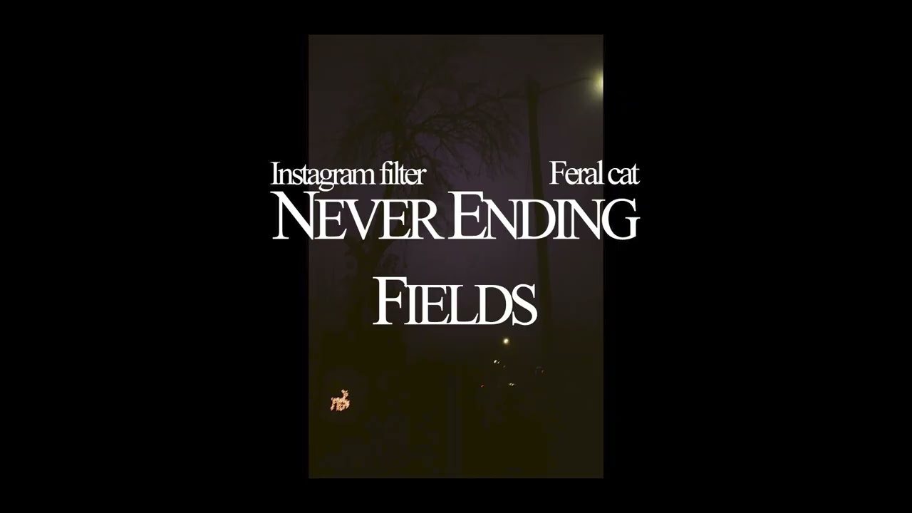 Instagram Filter & Feral Cat - Never Ending Fields [2026]