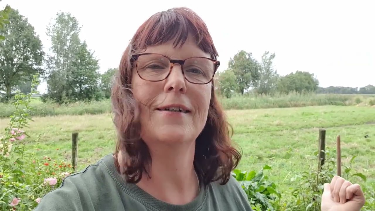 Prei uit planten#16 #moestuin