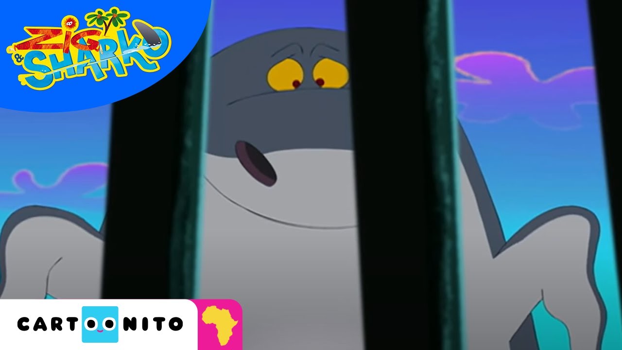 Zig & Sharko | Still Trapped In A Fence | Cartoonito Africa