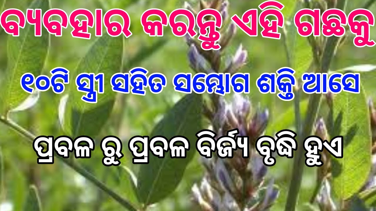 #tecbigyan #Odia Odia health tips | home remedies Odia | health tips | health Gyan | body grow