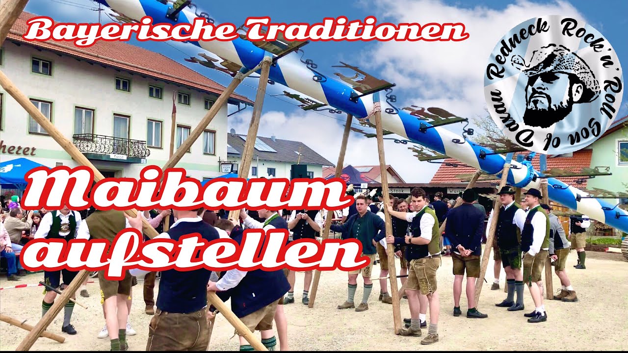 Alles über den Maibaum, Aufstellen, klauen, Schweiberl Bayerische Traditionen 1. Mai Mittbach Bayern