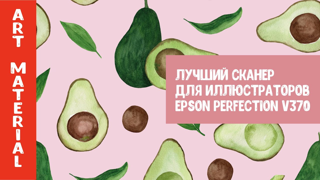 Лучший сканер для иллюстраторов Epson Perfection V370. Сравнение датчиков CIS и CCD.