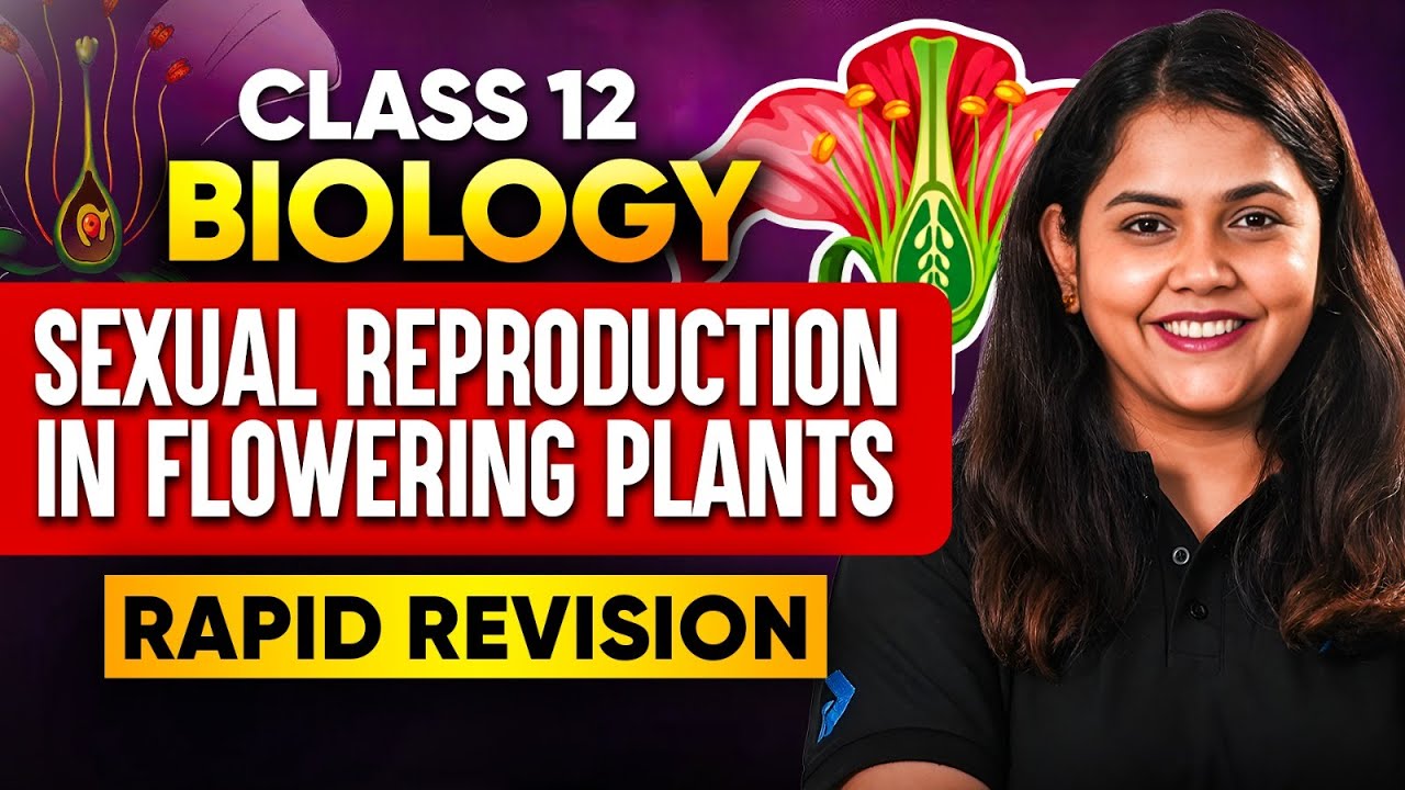 Class 12 Biology Sexual Reproduction in Flowering Plants - Rapid Revision | Board Exam 2026 🔥