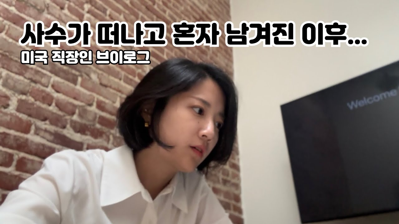 사수가 떠난 후의 첫 프로젝트, 그 결과