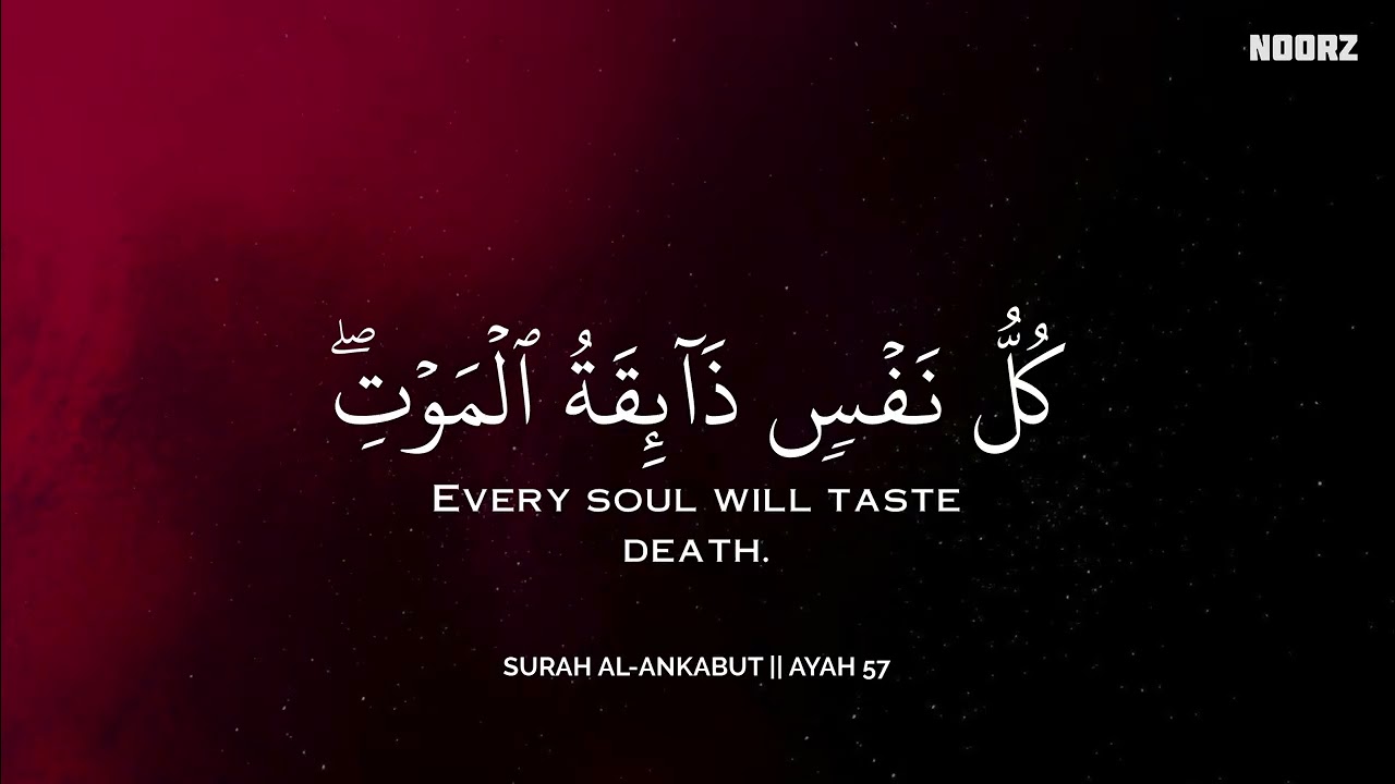 أرح سمعك وقلبك بالقرآن - تلاوة تقشعر لها الأبدان بصوت محمد هشام | Mohamed Hesham | ❤️🎧
