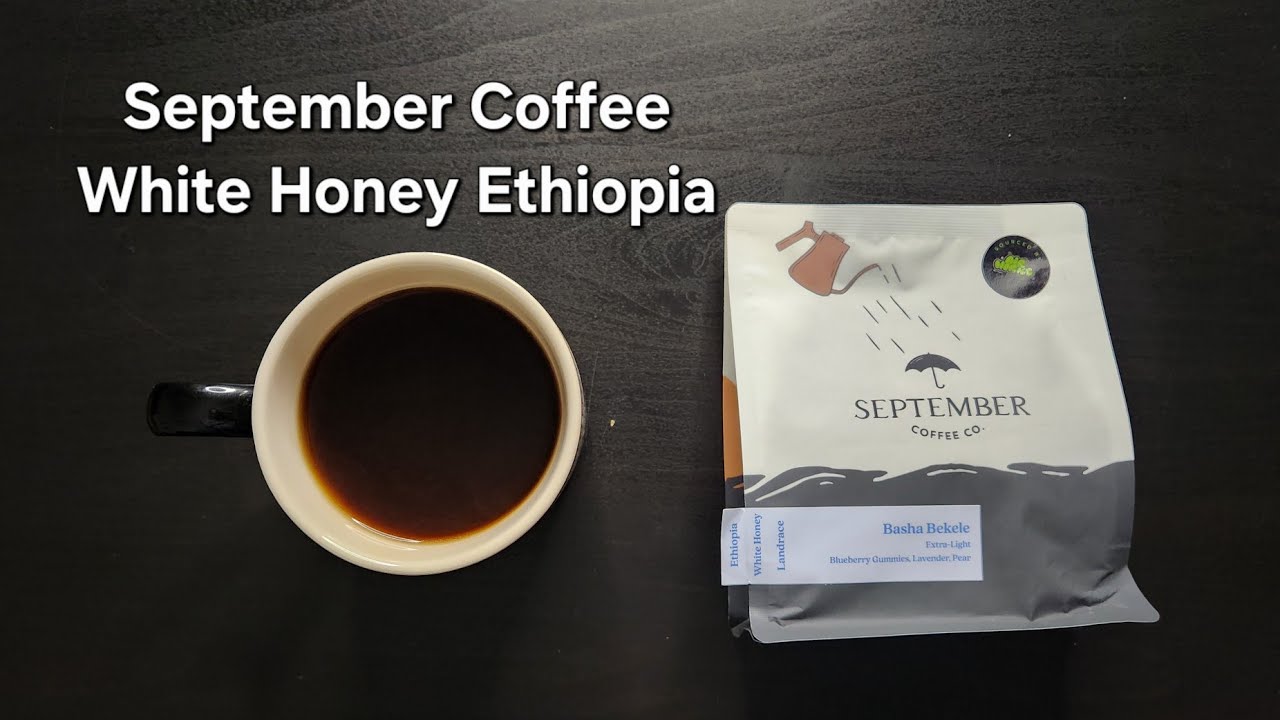 Обзор кофе September Coffee Co. (Оттава, Онтарио) - White Honey Ethiopia Basha Bekele (Extra-Light)
