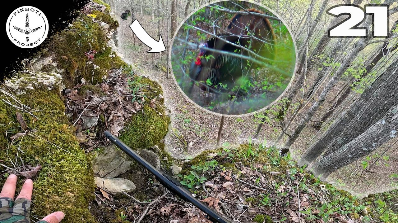 CLIFF DWELLING, HARDWOODS TURKEYS | MOUNTAIN GOBBLERS | HUNTING STEEP COUNTRY- PINHOTI 2025 Ep21