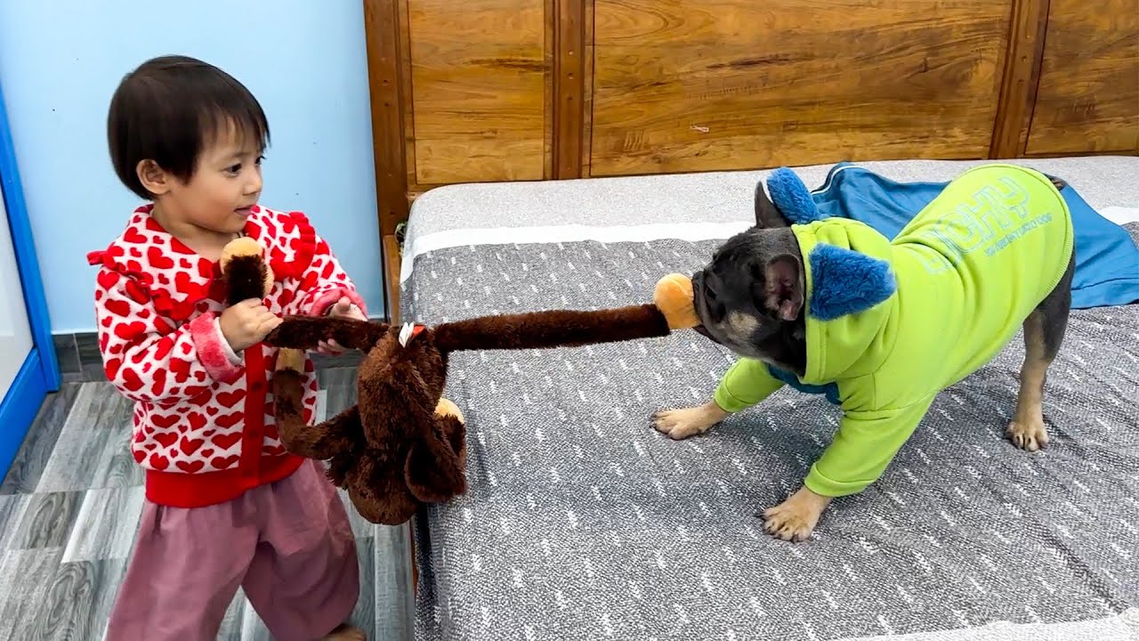 Diem demands back the stuffed monkey Kaka when Mun fights over it
