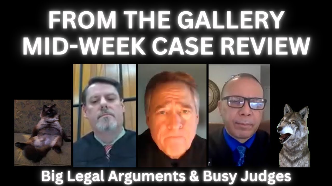 Drunk Lawyers, Bad Boyfriends, and Busy Judges - 01/01/25 - From the Gallery Archives
