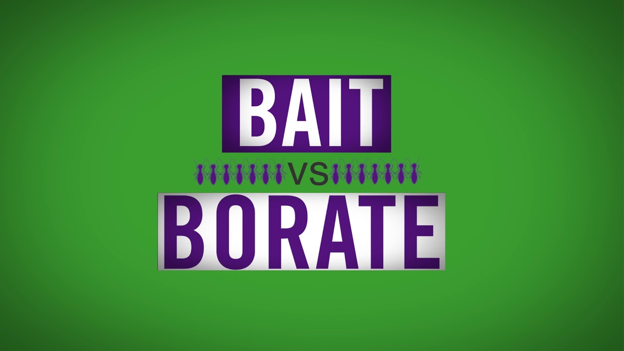 3D Comparison of the Sentricon System and Borate Termite Treatments