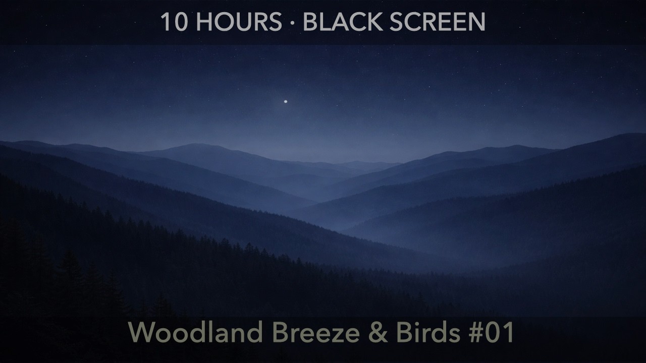 Woodland Birds and Breeze for Relaxation and Sleep - 10 Hours Black Screen | Deep Rest Sounds