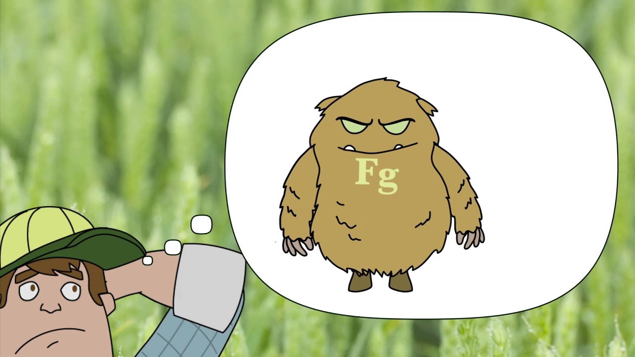 Stop Fusarium Before it Stops You