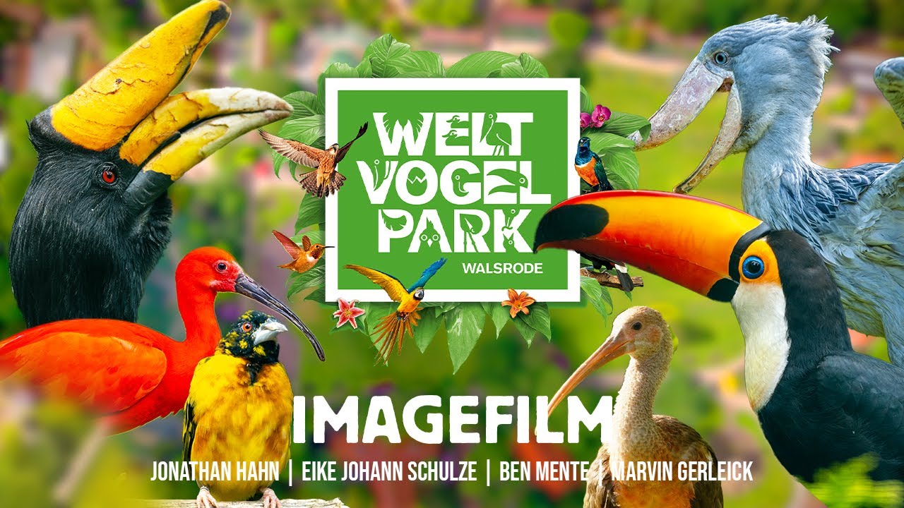 WELTVOGELPARK WALSRODE - Ein Abenteuer, das beflügelt!