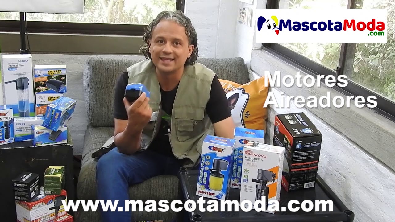 Diferencia entre motor, filtro y bomba sumergibles para acuarios y cascadas
