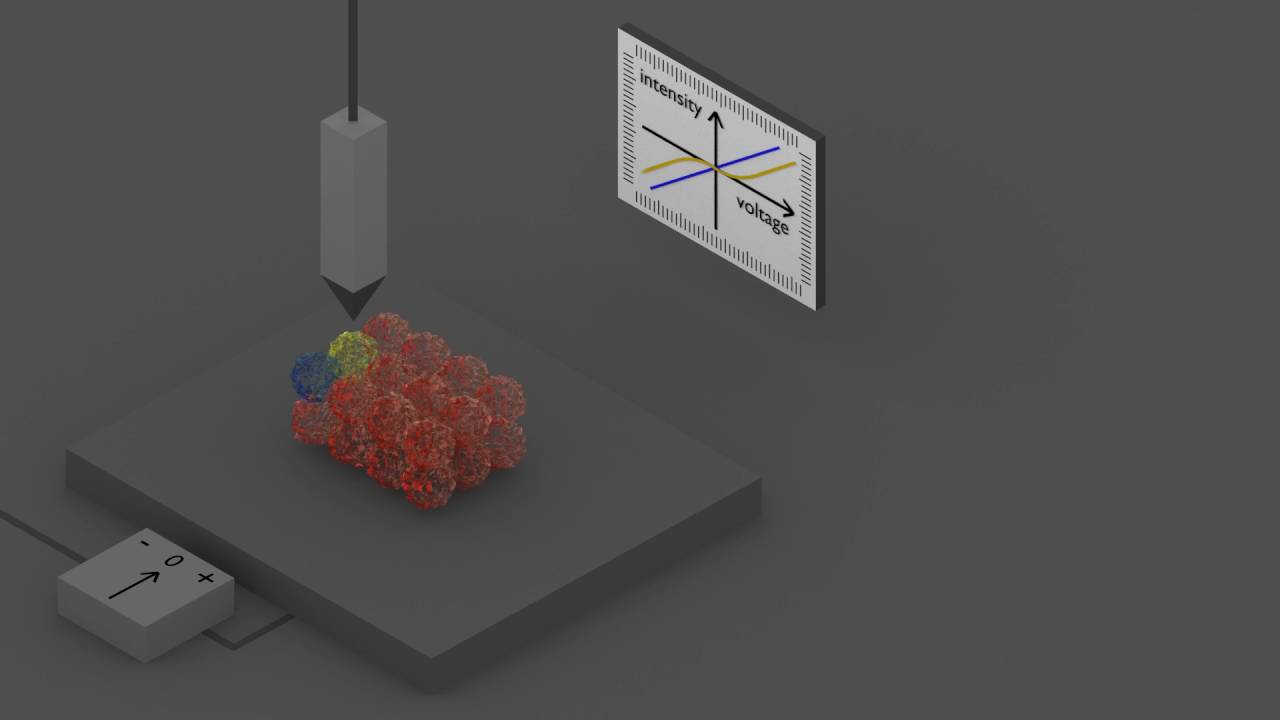 scanning tunneling microscope