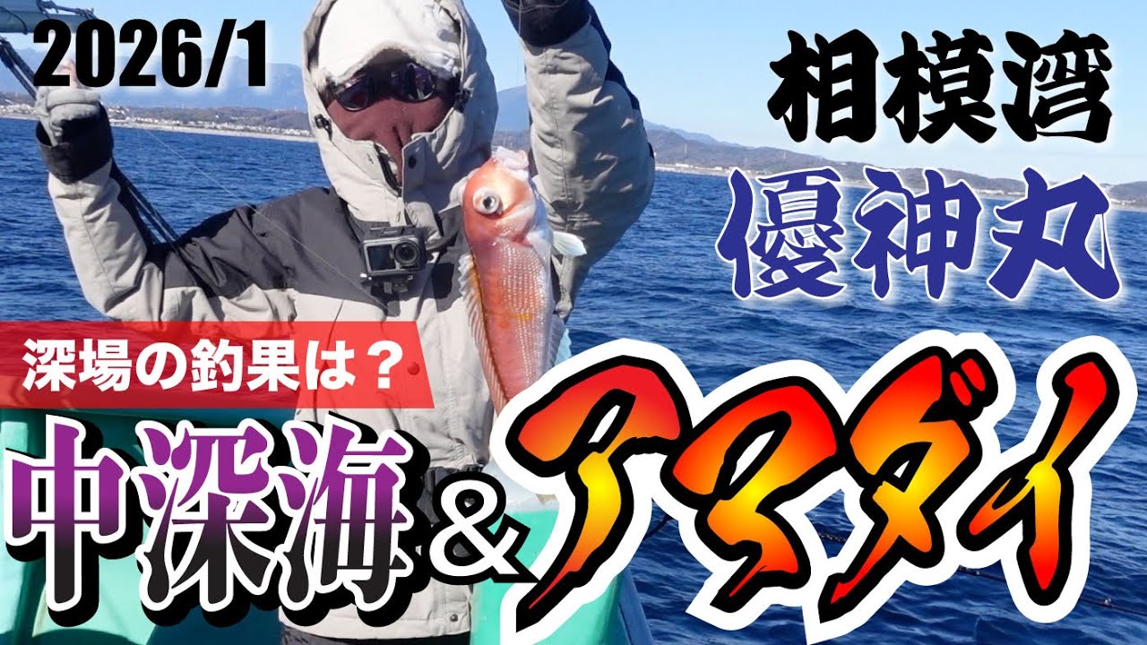 【アマダイ釣り】慣れた深さと違うアマダイ、本当に釣れるのか？冬の中深海釣行記