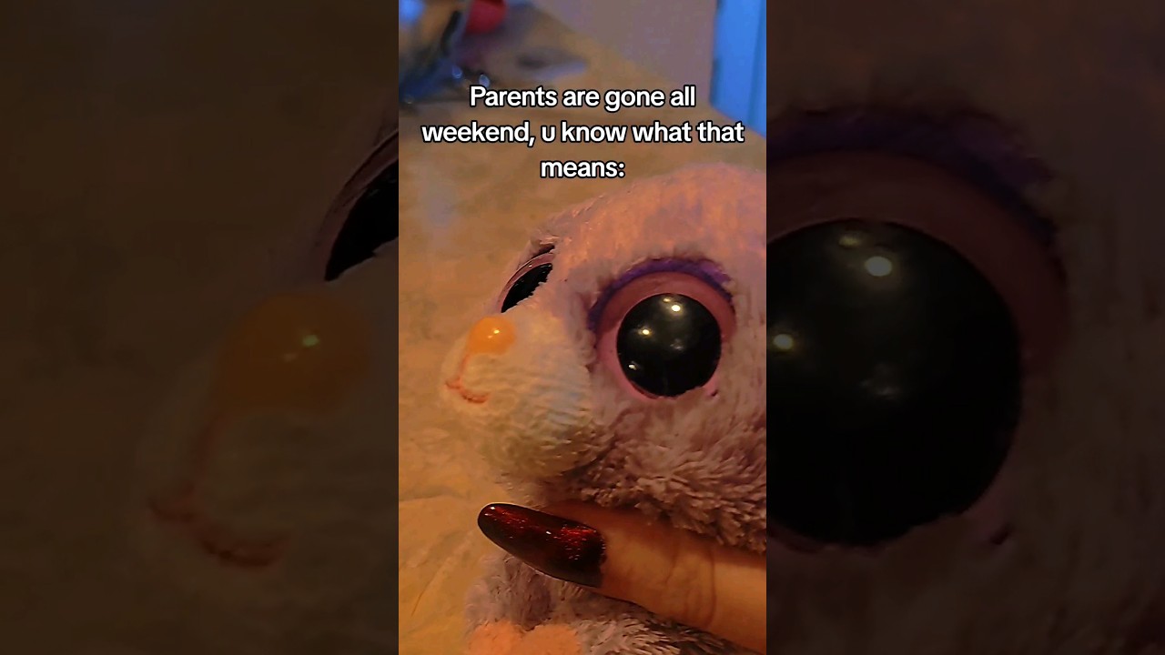 Only time I'm downstairs 💀 // #beanieboo #beanieboos #funny #funnyvideo #animal #animals #bunny #owo