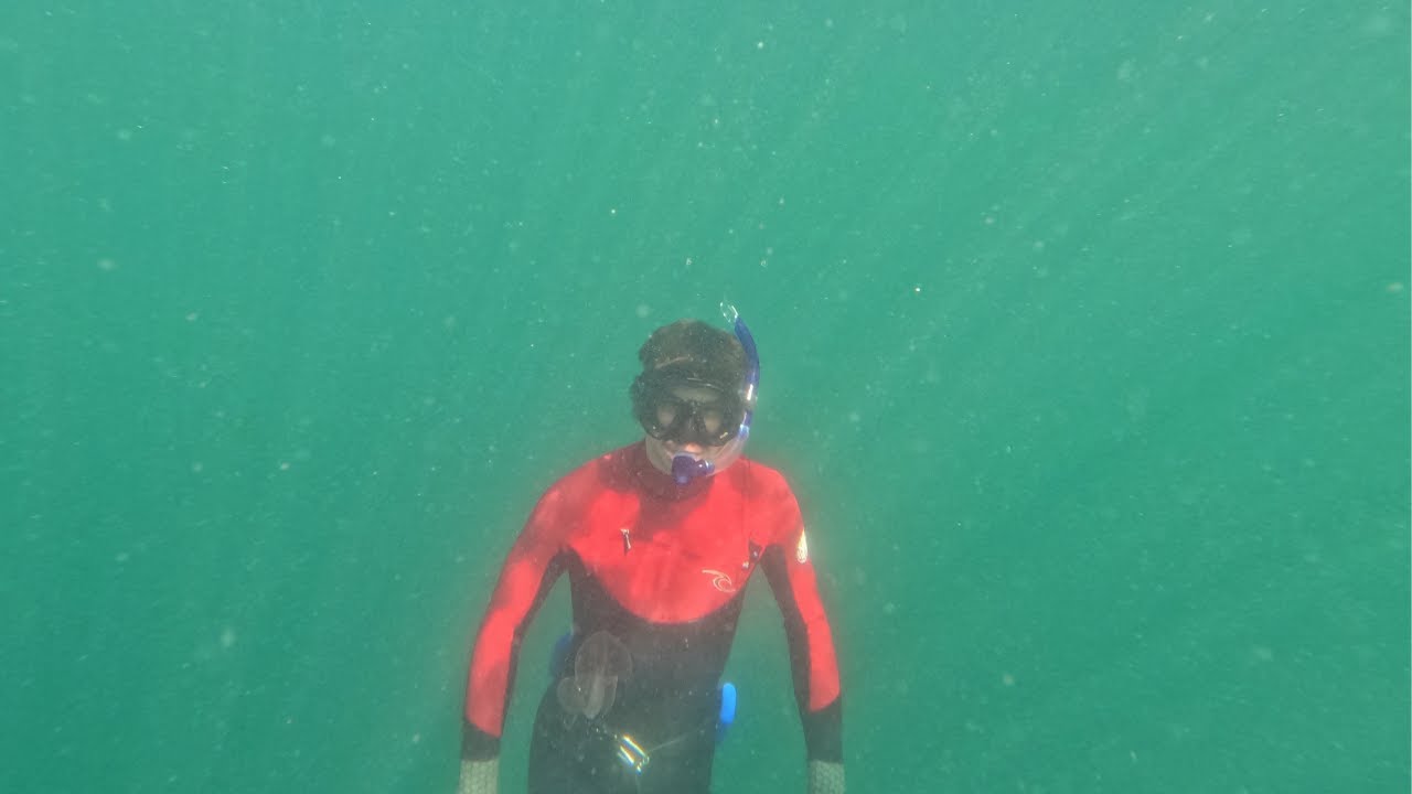 Gold Coast Seaway - 13.12.2024 | Entry #15