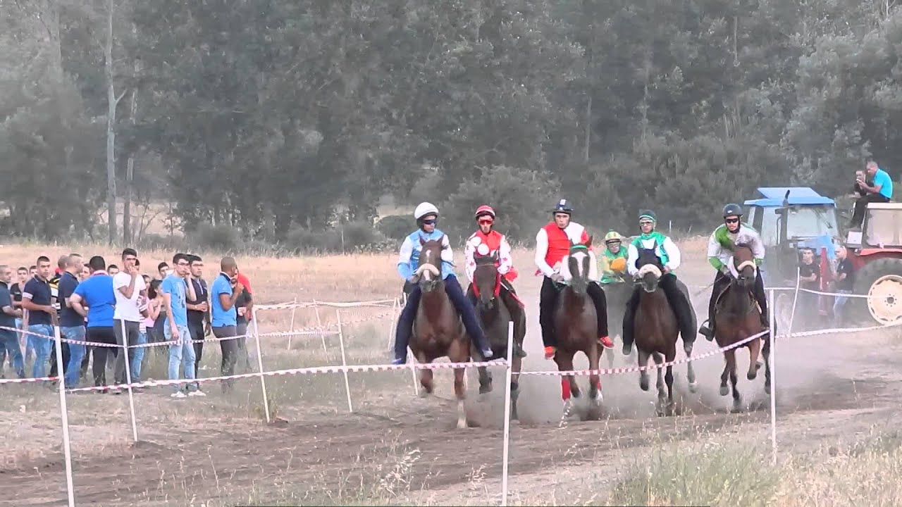 oliena palio finale angloarabi cavalieri locali 19 .07.2015
