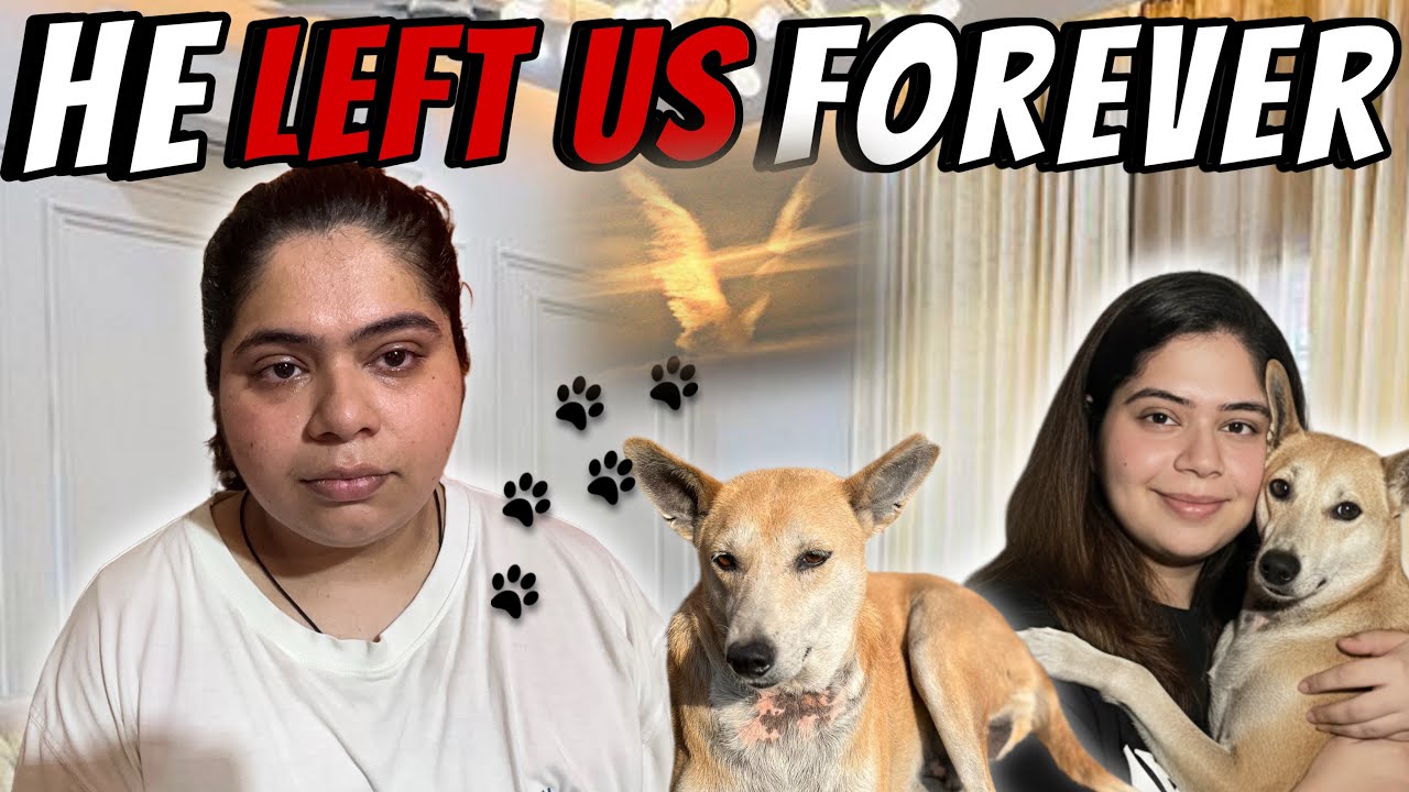 HE LEFT US FOREVER 💔#goan #goavlog #goanvlogger #konkani #konkan #konkanivlog #vlog #goa #goavlog 