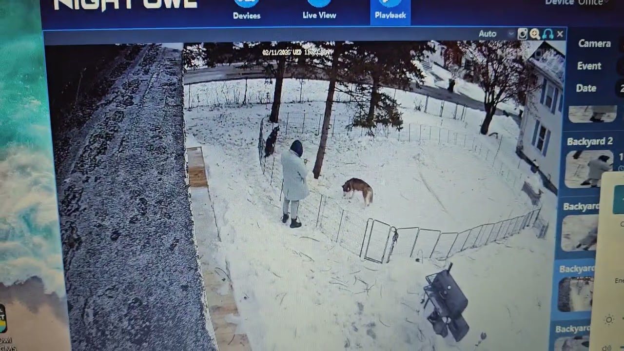 Security camera has a moment. Why does it say your license is ready for use?