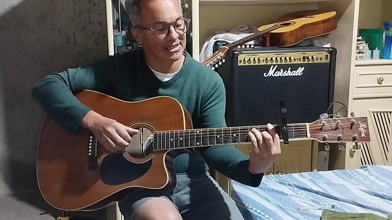 Amado Batista pra que fugir de mim vídeo aula completa simplificada para iniciante em solo de violão
