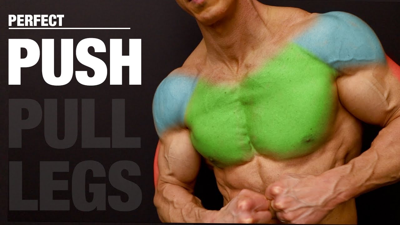 The PERFECT Push Workout (PUSH | PULL | LEGS)