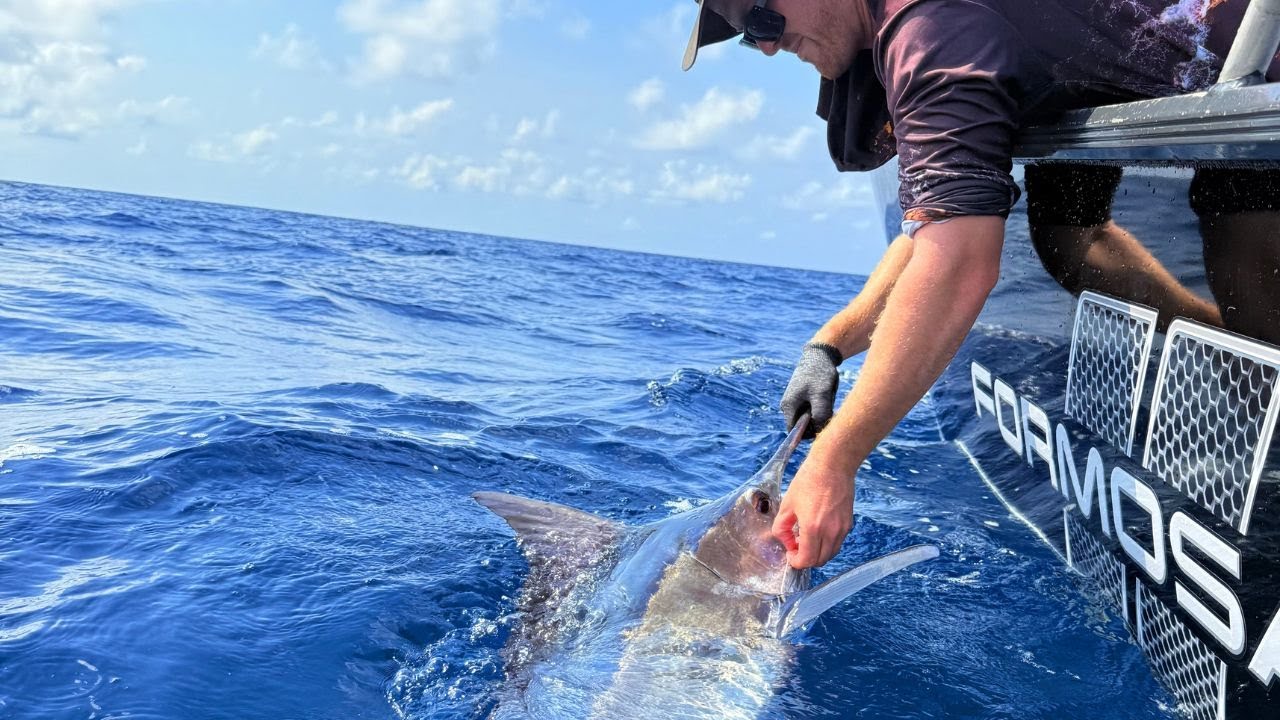 FISHING FOR BLACK MARLIN IN THE NORTHERN TERRITORY!