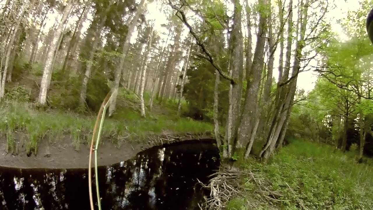 Troutfishing in small waters - Flugfiske i liten bäck