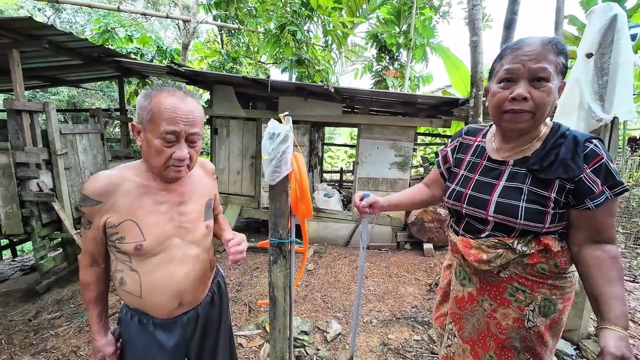 PERTENGKARAN BESAR KUMANG JAWAI DAN BUJANG SIGAT DI REBAN AYAM //