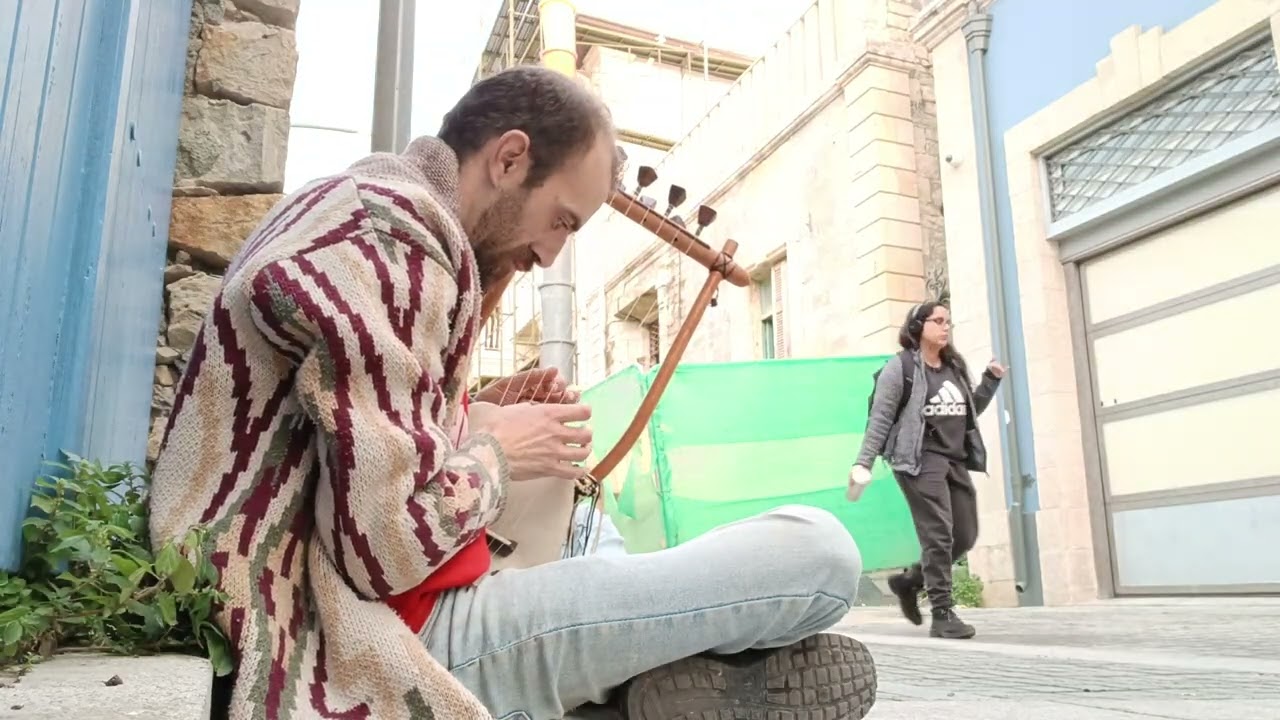 Λύρα Χελώνη.