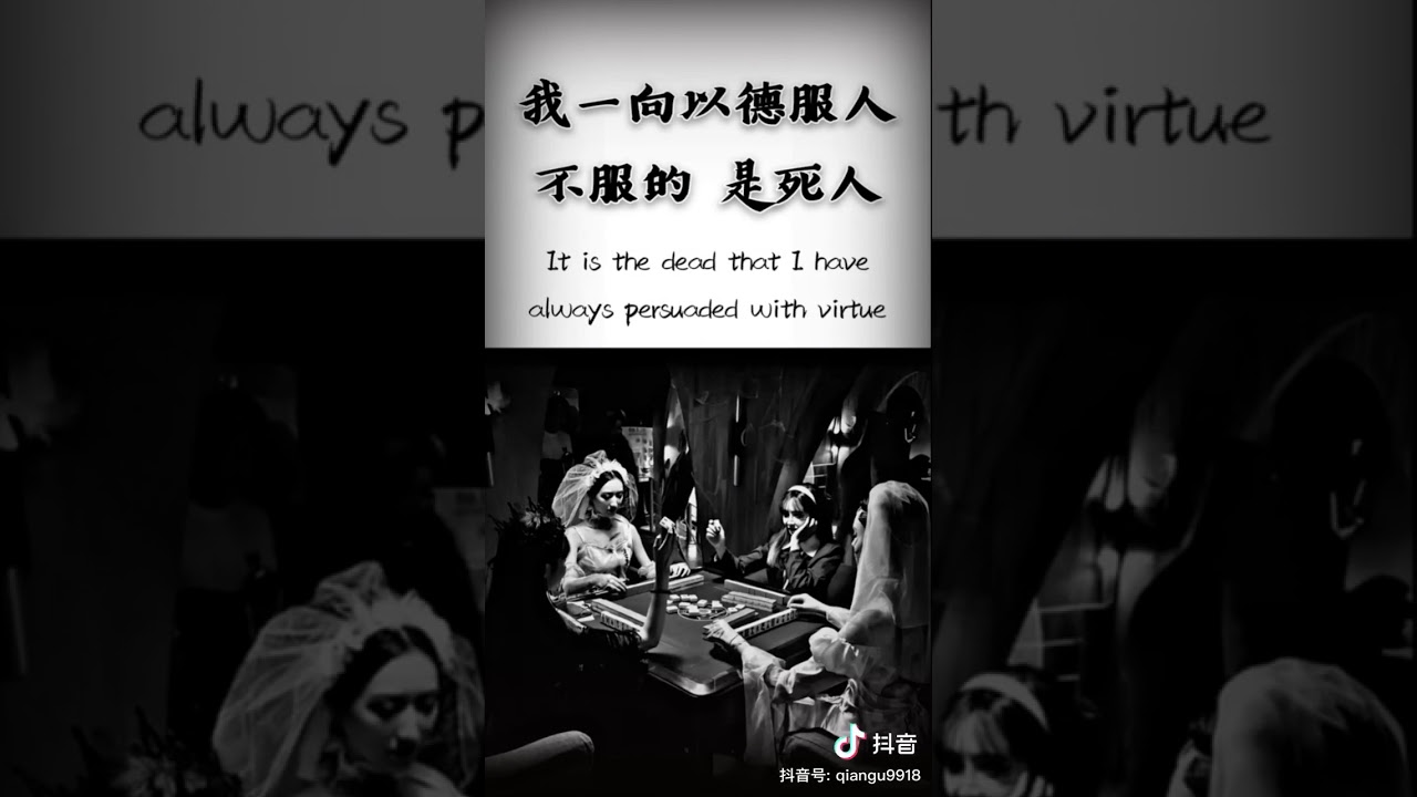 走过！路过！千万别错过这些精彩语录，更多语录等你来看