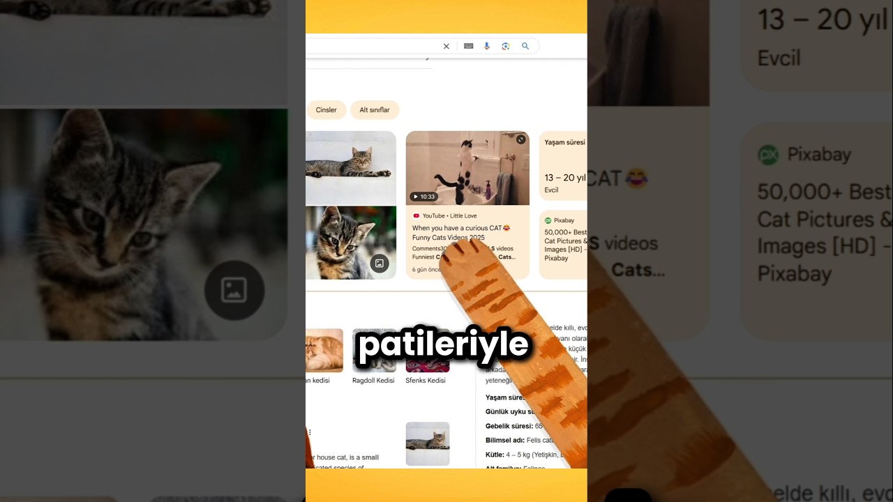 3 GİZLİ GOOGLE ÖZELLİĞİ 