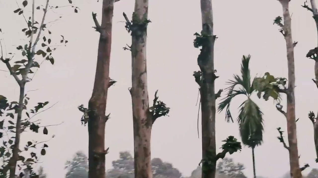 #nature Of Karbi Anglong#subscribemychannel 