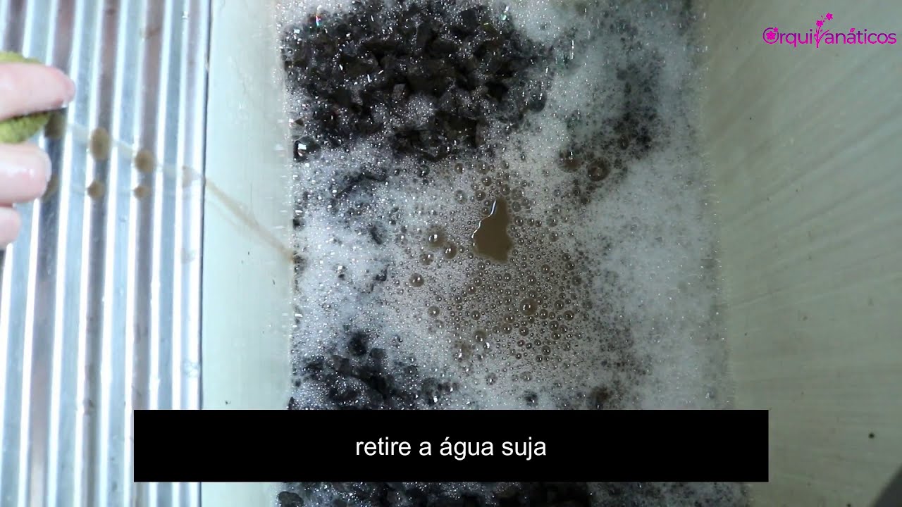Preparando substrato: Pedra Brita, fazendo toda a limpeza.