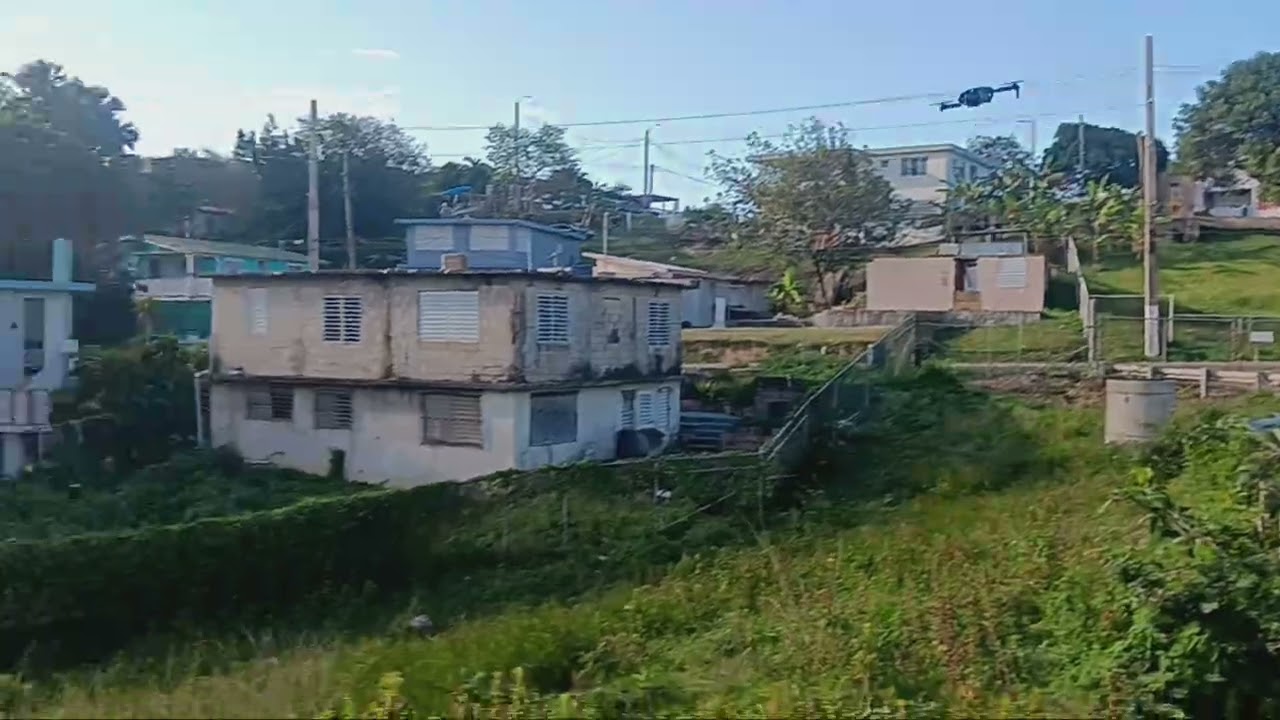 #drone #cat