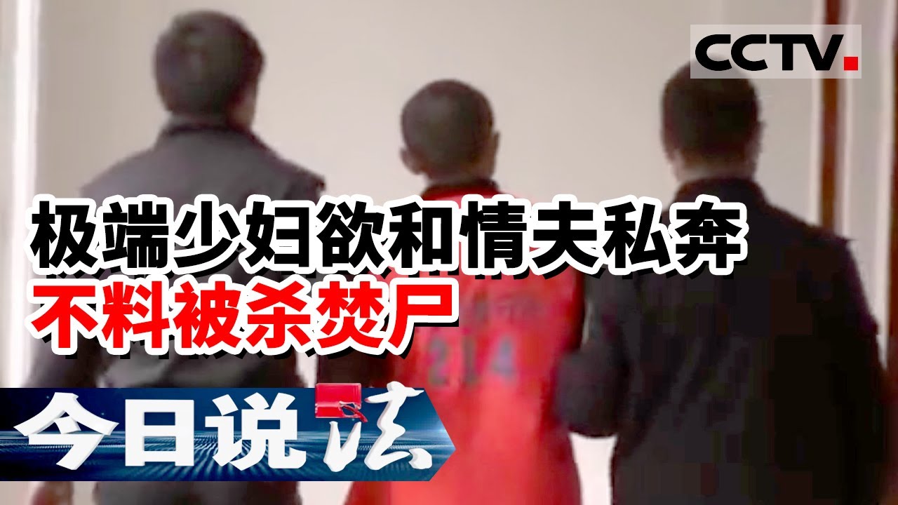 《今日说法》湖北老汉外出祭祖 意外发现路边一具烧焦的女尸 20160416 | CCTV今日说法频道