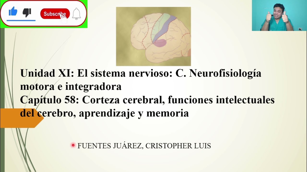 FISIOLOGÍA: CORTEZA CEREBRAL; FUNCIONES INTELECTUALES DEL CEREBRO, APRENDIZAJE y MEMORIA