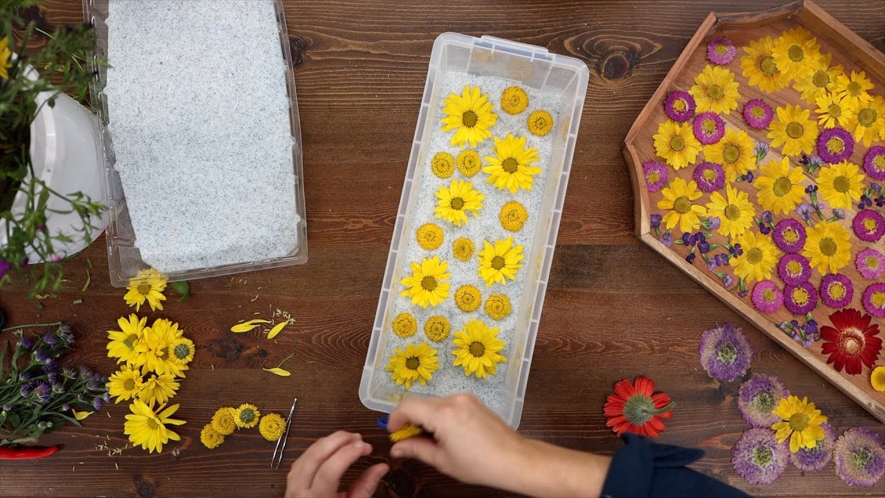 Использую микроволновку для прессования цветов и обновления проекта! 🌸🥀🌼 // Garden Answer