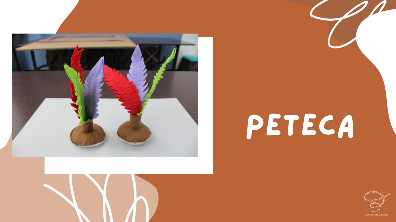 FACA VOCE MESMO: PETECA