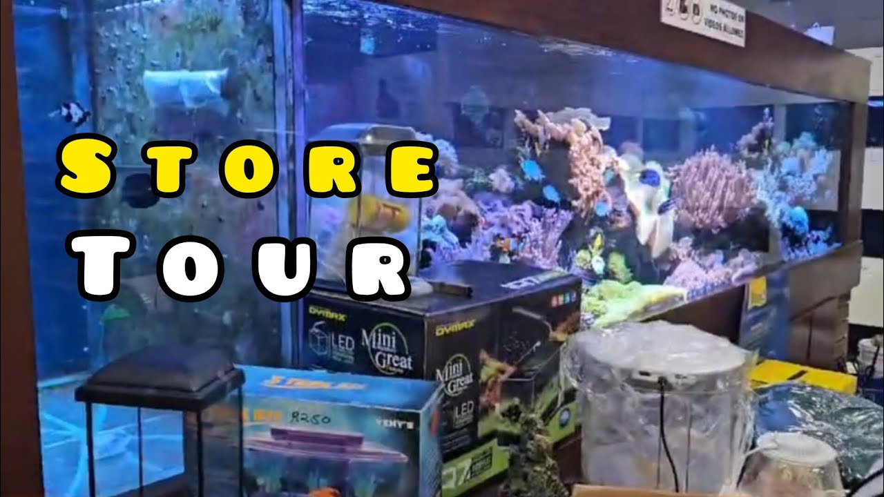 We found a HIDDEN GEM! - Benoni Aquarium and Pets
