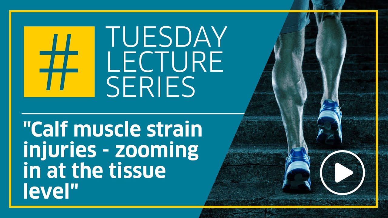 Calf muscle strain injuries - zooming in at the tissue level- by Prof Craig Purdam