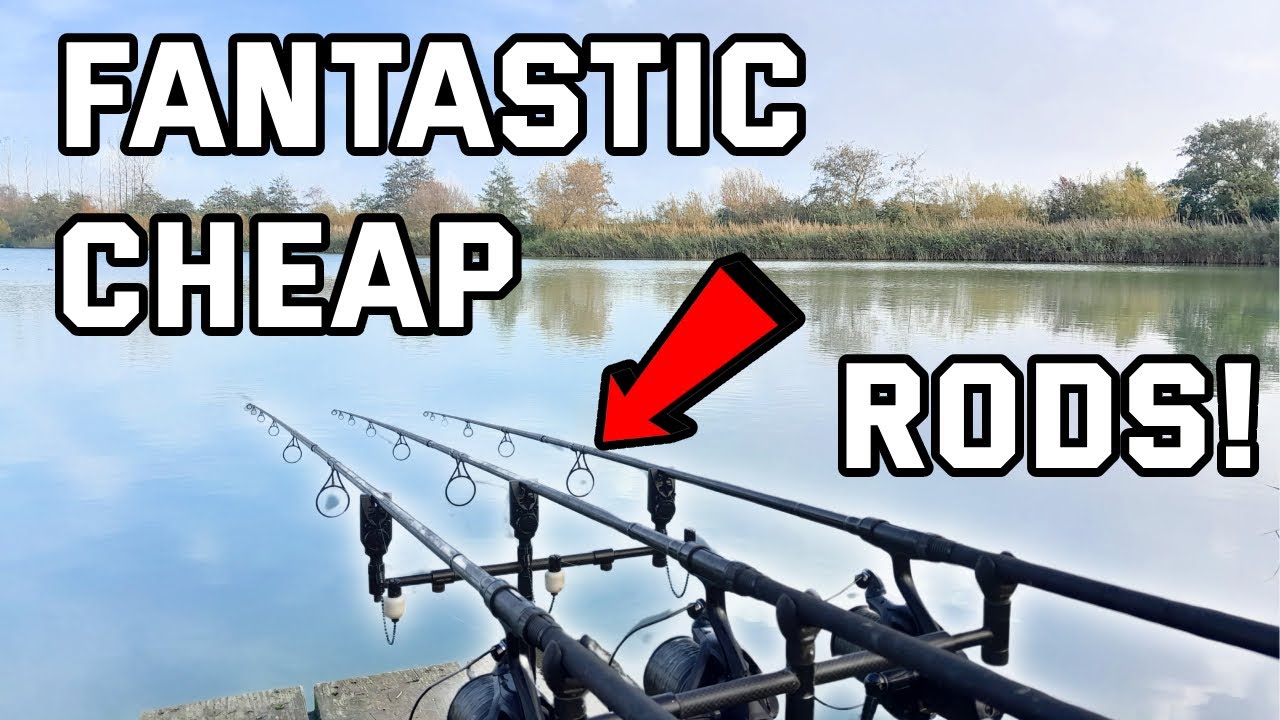 Best Carp Rod On A Budget? Sonik Vader X RS Review!