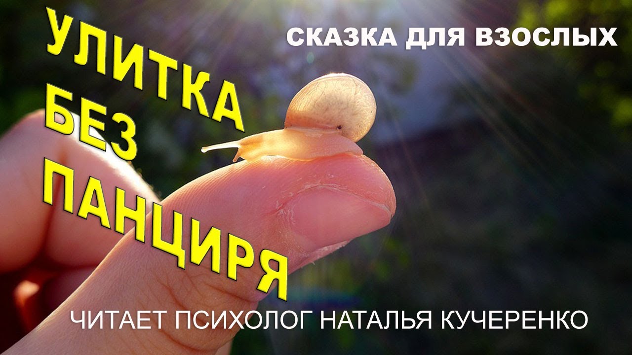 Улитка без панциря. Сказка для взрослых. Читает психолог Наталья Кучеренко