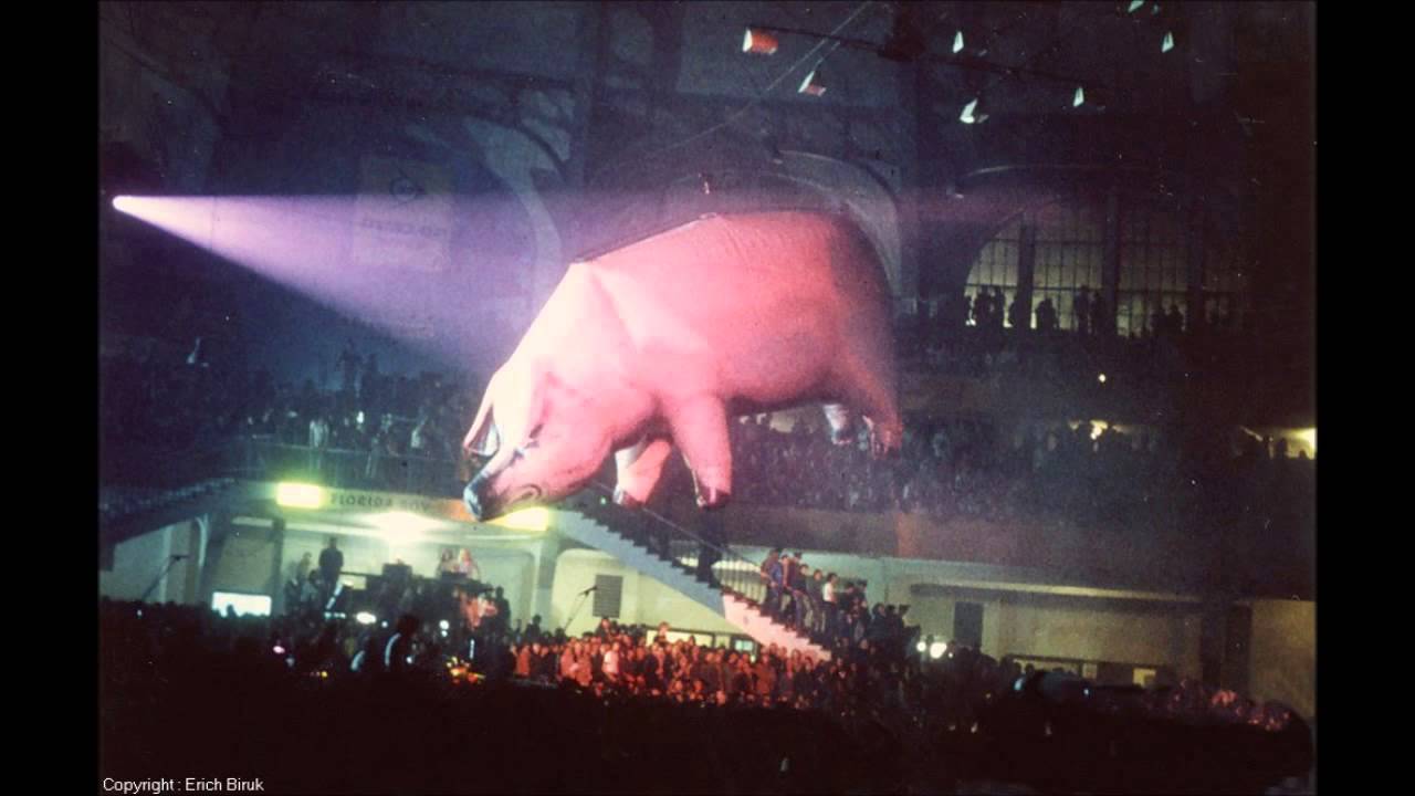 Pink Floyd LIVE ~ PIGS ~ Rowdy Cleveland Show ~ Animals Tour 1977