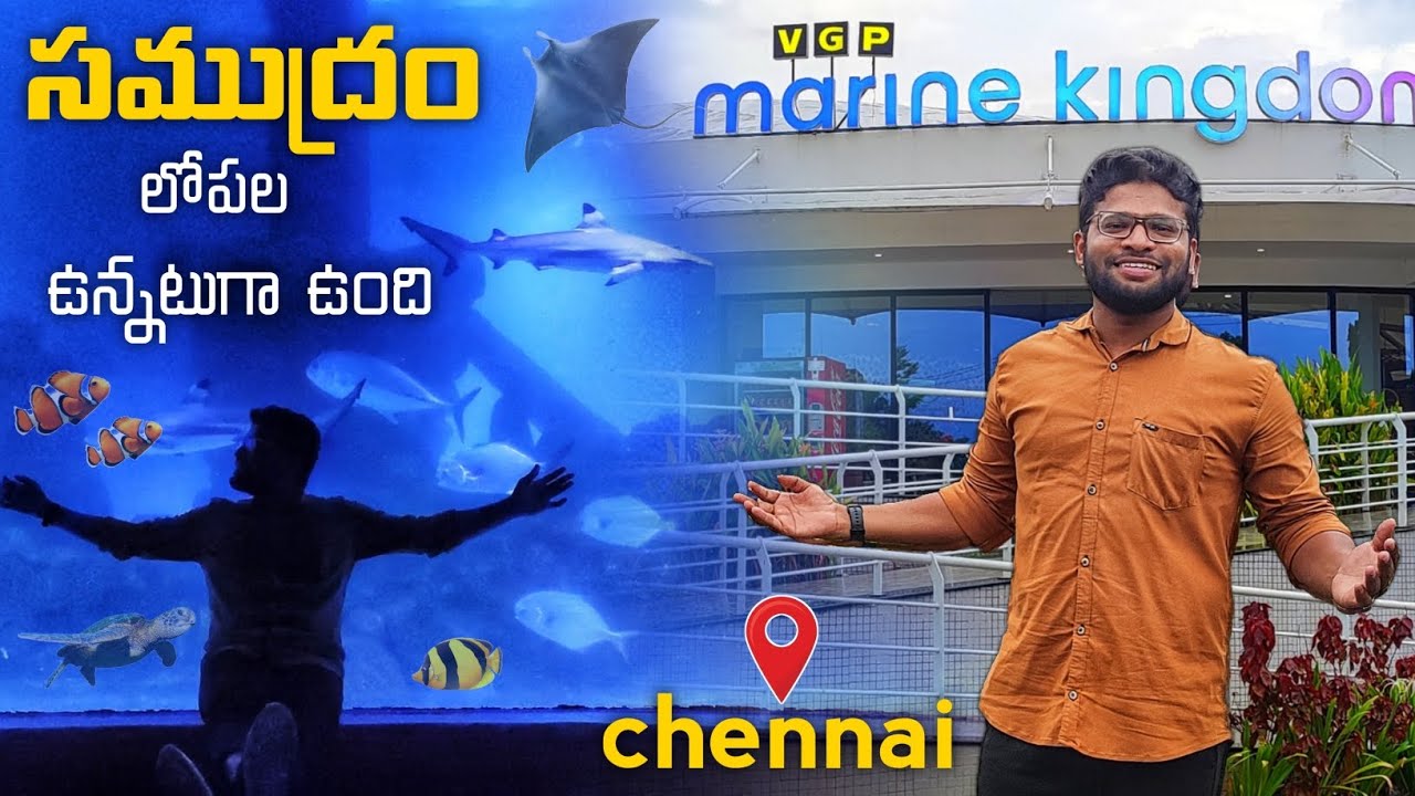 VGP Marine Kingdom Chennai | Chennai Tourist Places #teluguvlogs #travelvlogs #shark #nemo #tourism