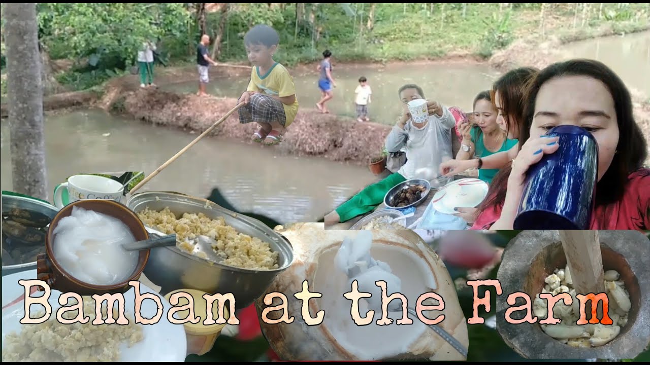 Bambam at the #Farm | #LifeInTheProvince #CopraHarvesting #TilapiaFishing #FarmVisit