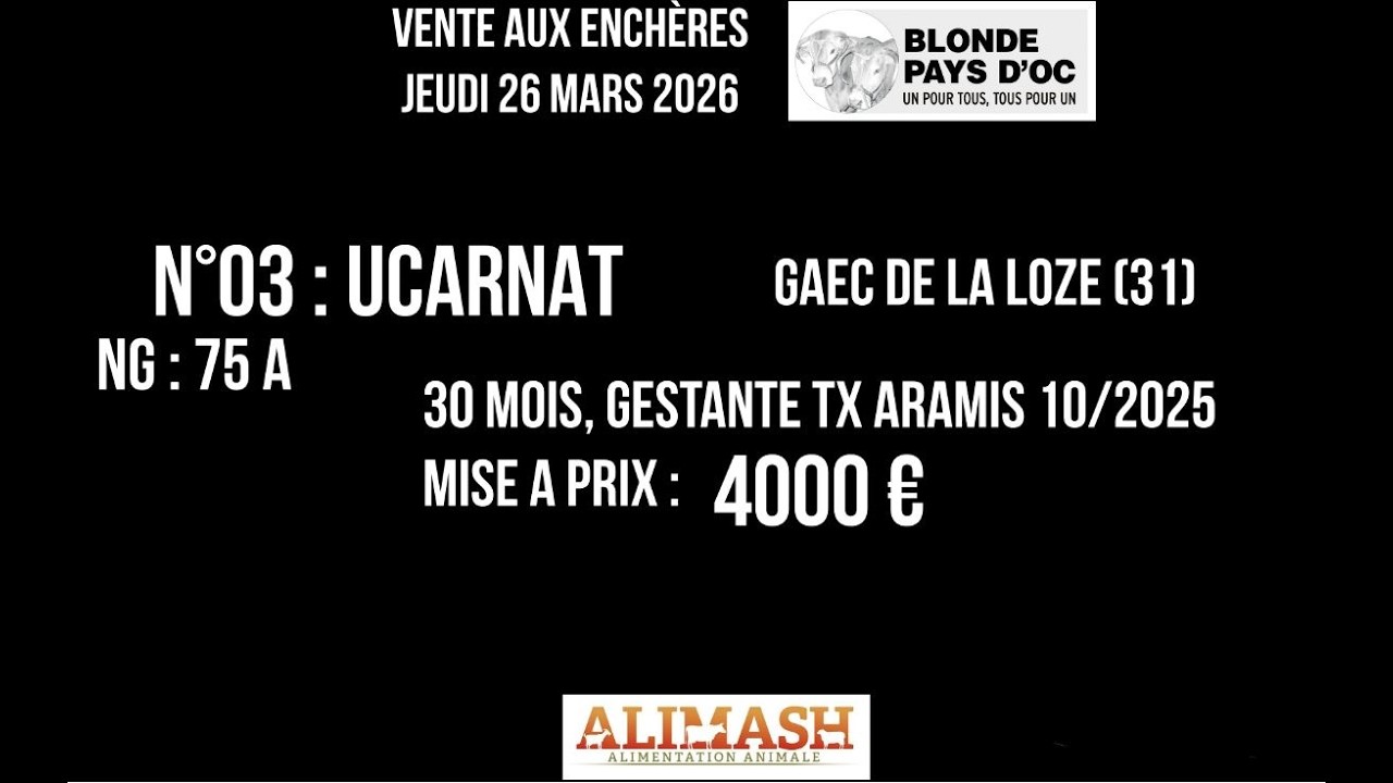 03 UCARNAT   Vente Bexianis 2026   Blonde Pays d'Oc